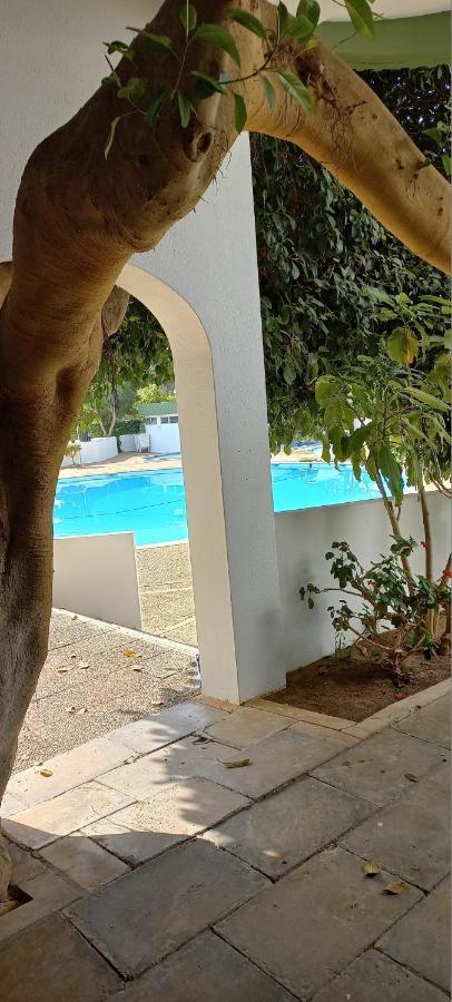 Vue Ocean Daire Portimão Dış mekan fotoğraf